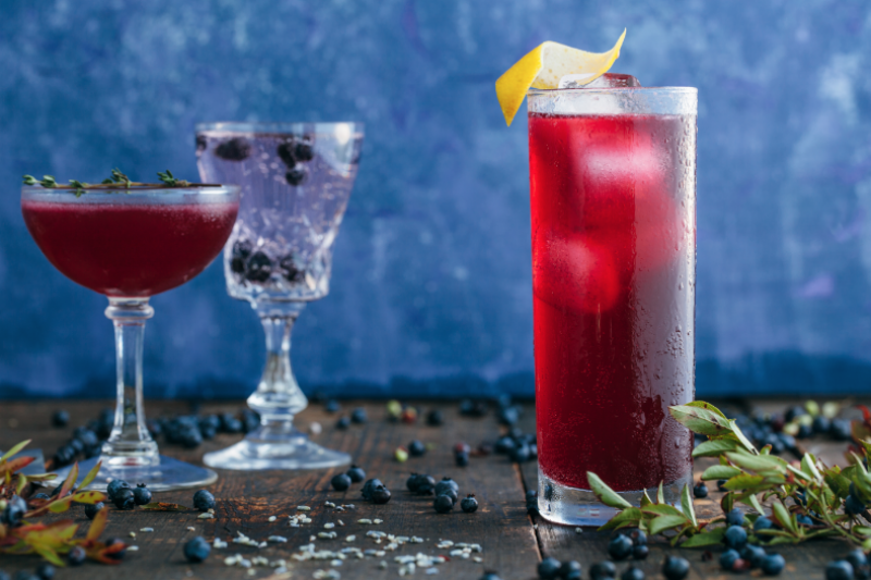 GIN FIZZ NUMBER ONE – Ironworks Distillery